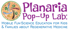PLANARIA POP-UP: MOBILE REGENERATIVE MEDICINE EDUCATION FOR KIDS & FAMILIES